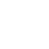 American Dream American Dream